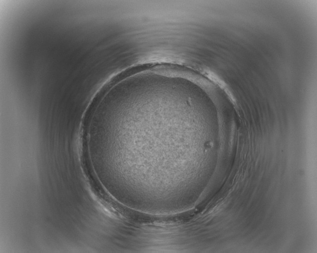 X0000068820580200605081148