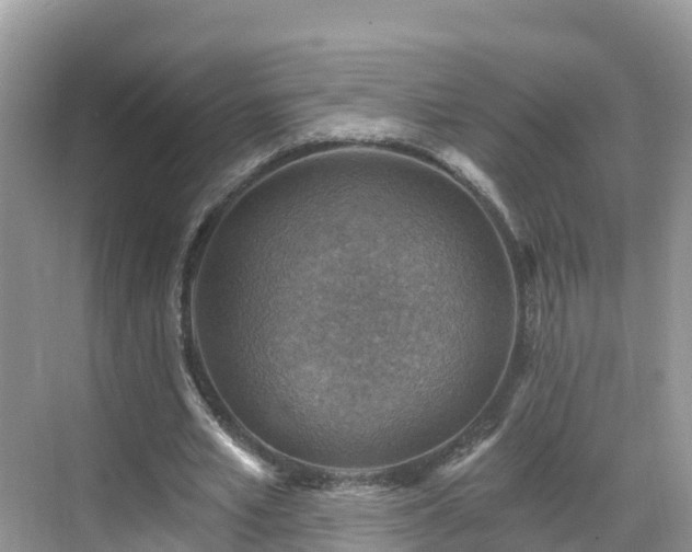 X0000068820581200605081148