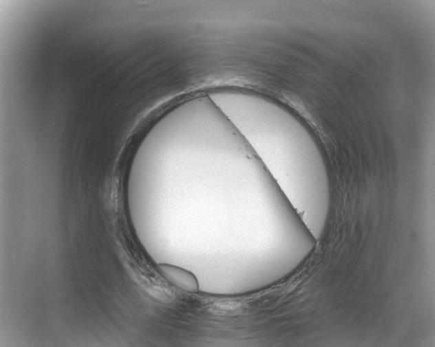 X0000068820583200605081147