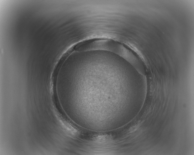 X0000068820584200605081147