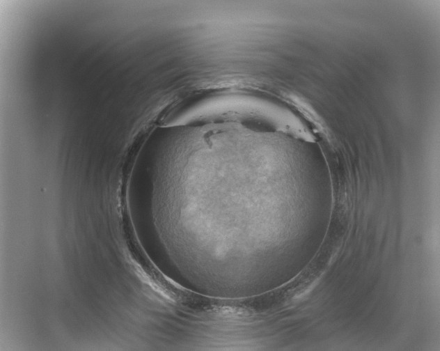 X0000068820585200605081147