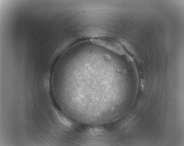 X0000068820586200605081147