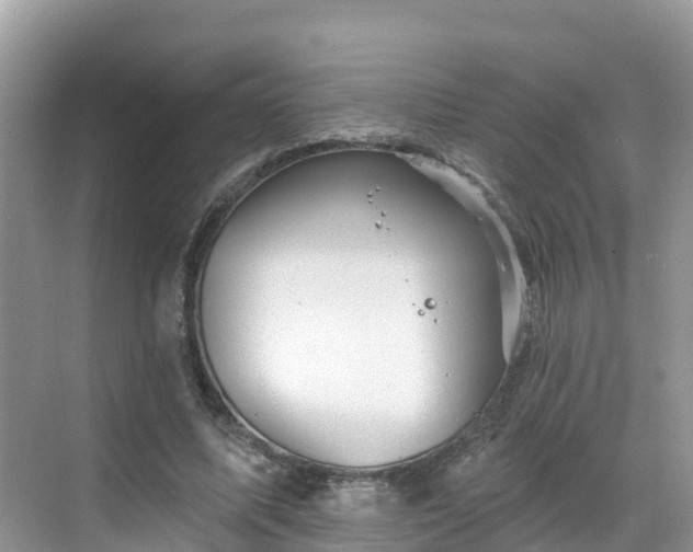 X0000068820587200605081147