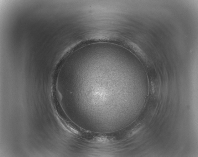 X0000068820588200605081147