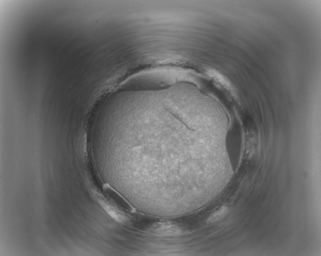 X0000068820589200605081147