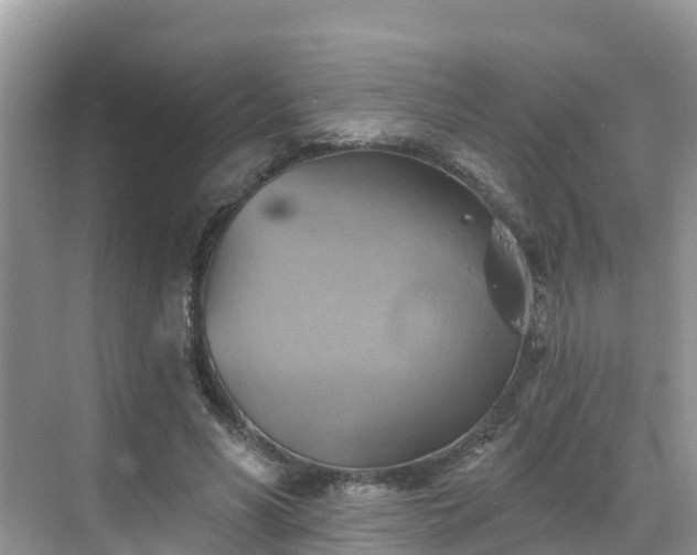 X0000068820590200605081147