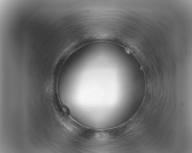 X0000068820591200605081147