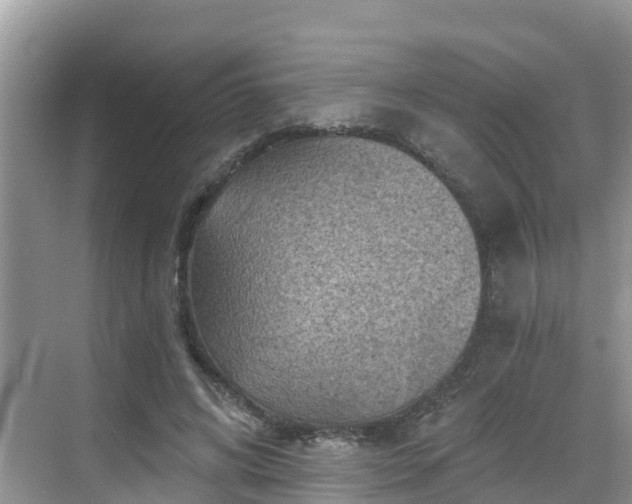 X0000068820592200605081147