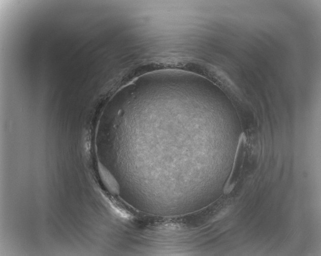 X0000068820593200605081147