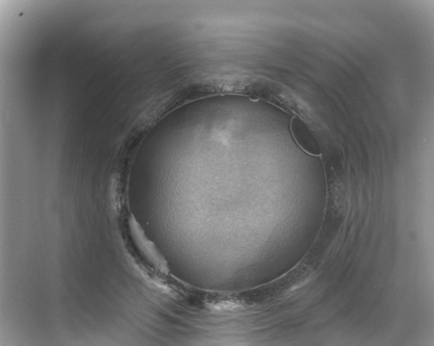 X0000068820594200605081147