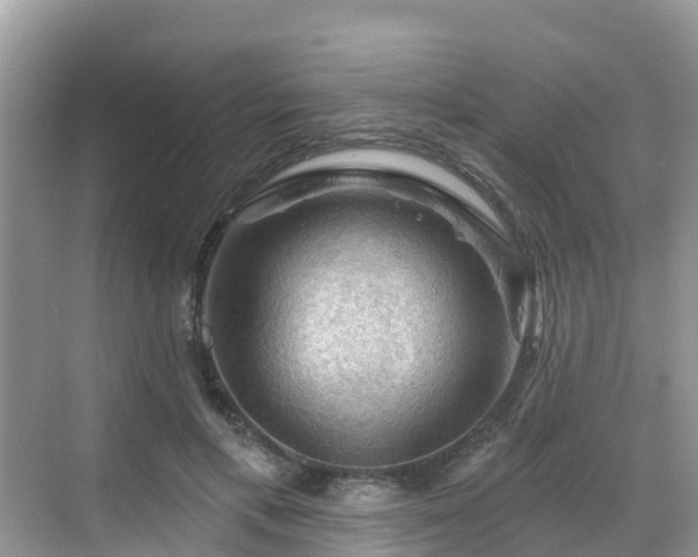 X0000068820597200605081147