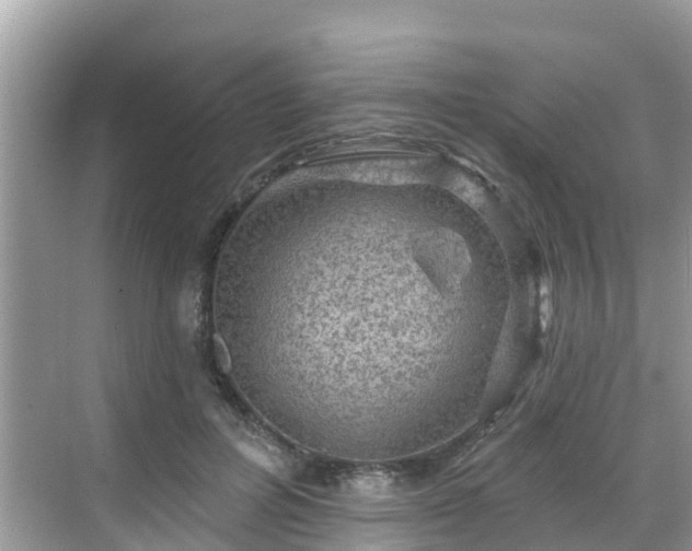 X0000068820600200605081147