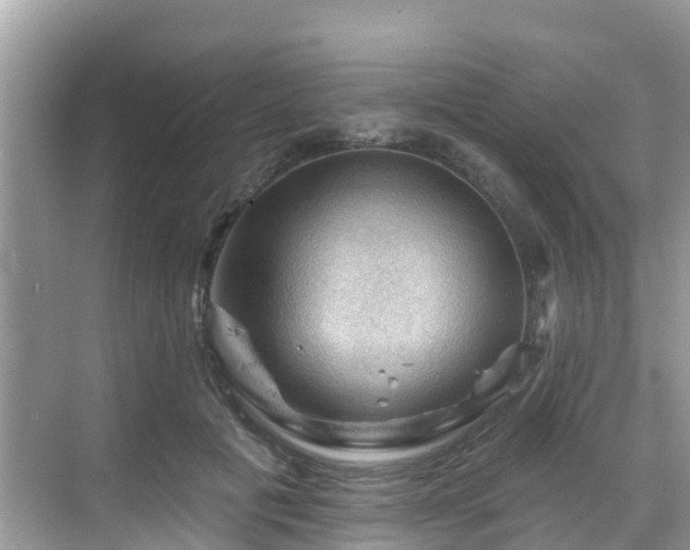 X0000068820601200605081147