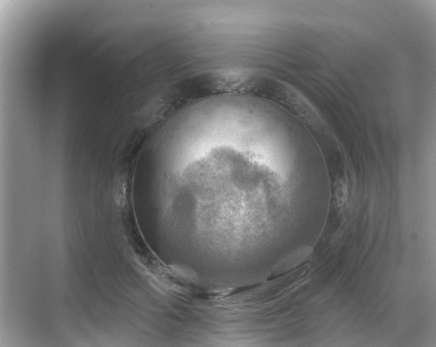 X0000068820602200605081147