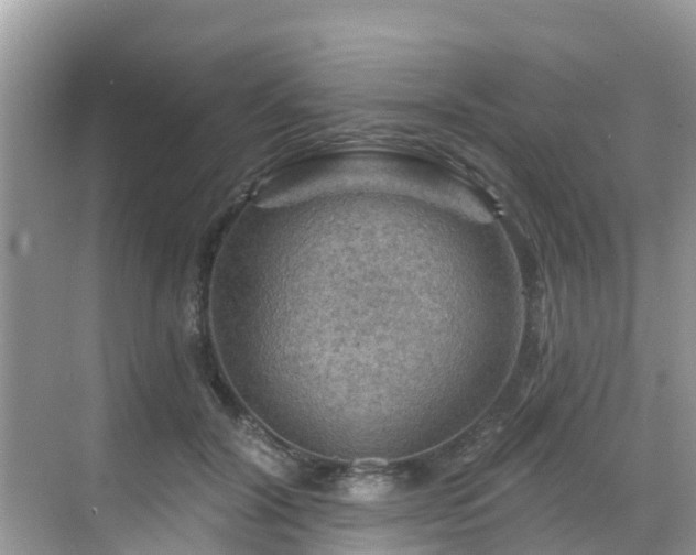 X0000068820604200605081147