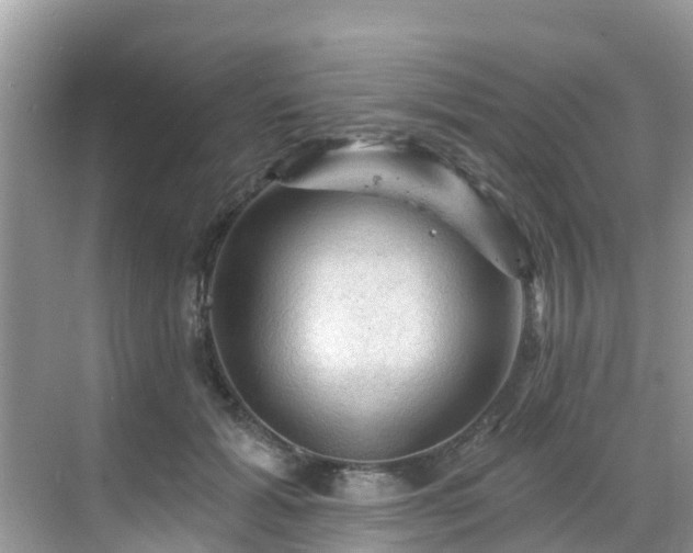 X0000068820605200605081147