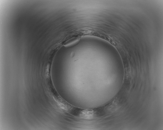 X0000068820606200605081147