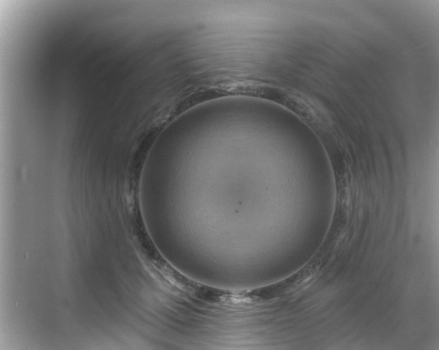 X0000068820607200605081147