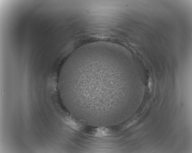 X0000068820612200605081147