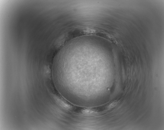 X0000068820614200605081147