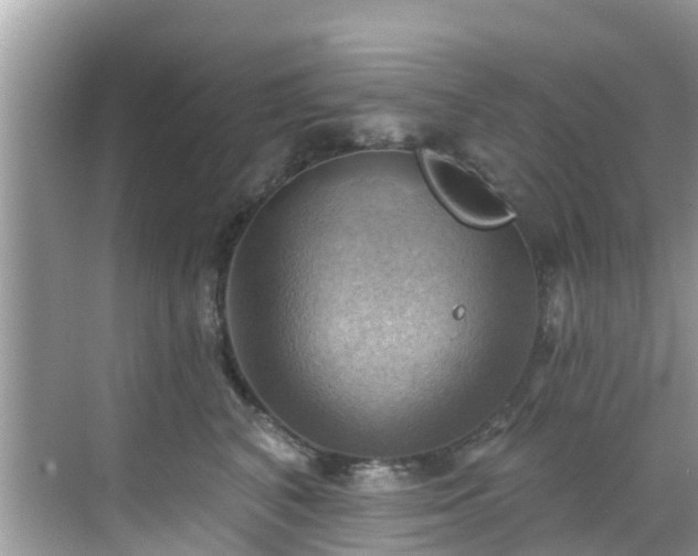 X0000068820616200605081147