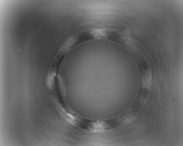 X0000068820618200605081147