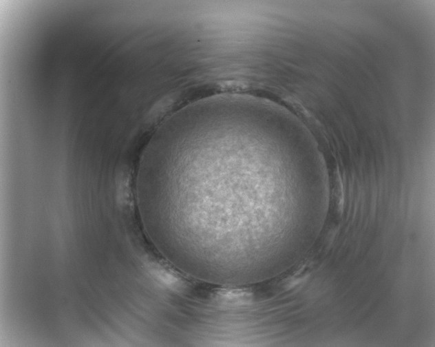 X0000068820619200605081147