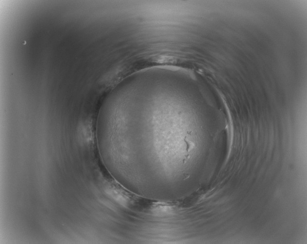 X0000068820620200605081147