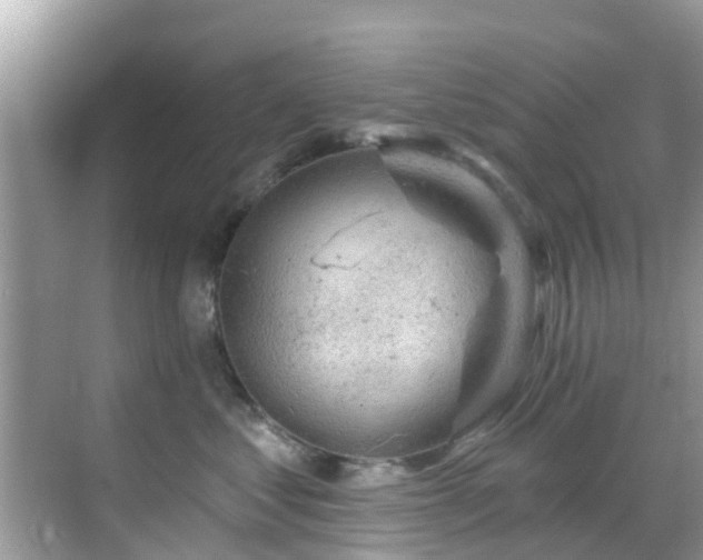 X0000068820621200605081147