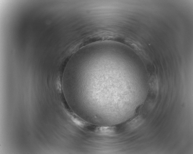 X0000068820622200605081147