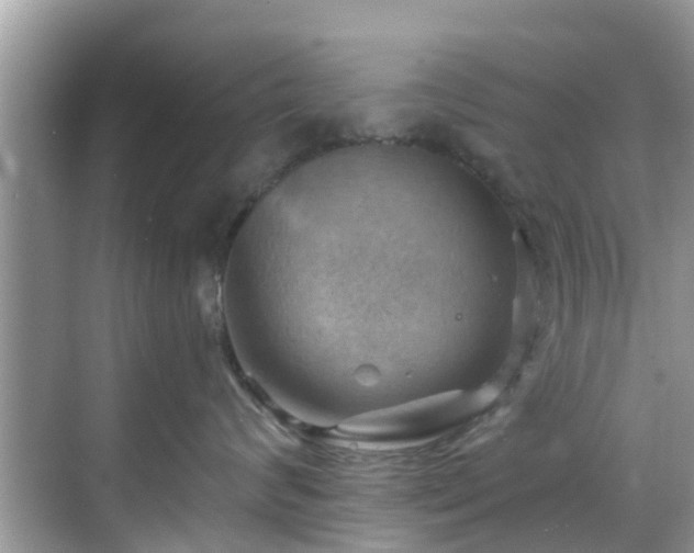 X0000068820624200605081147