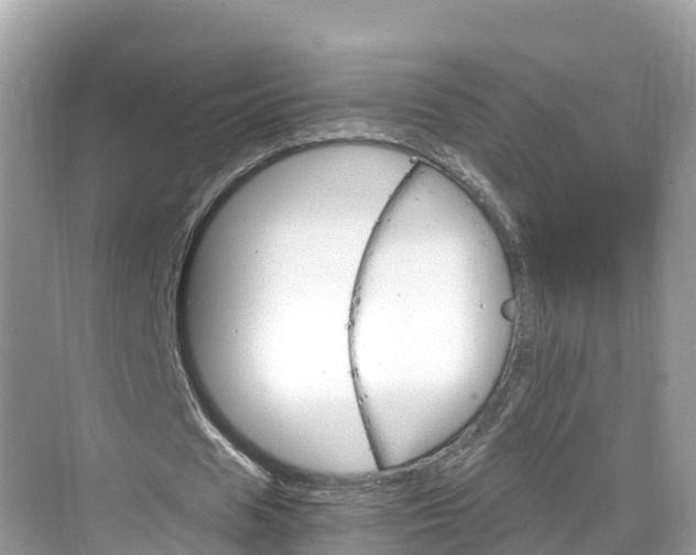 X0000068820625200605081146