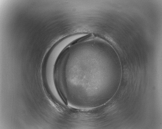 X0000068820626200605081146