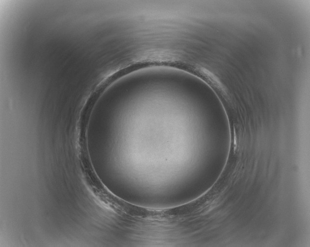 X0000068820627200605081146