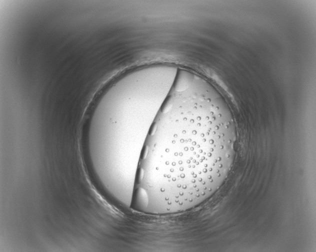 X0000068820629200605081146