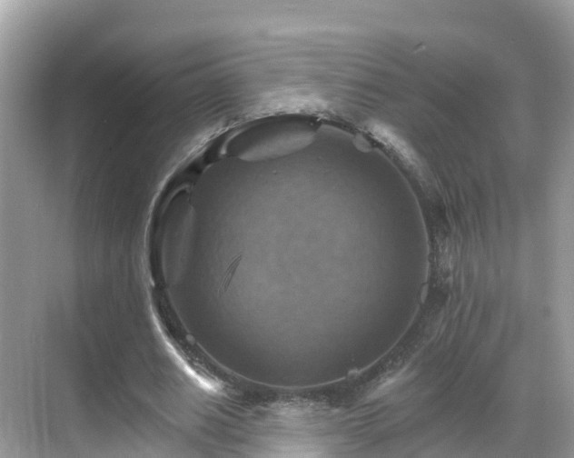 X0000068820630200605081146