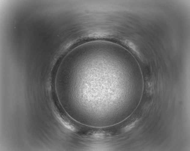 X0000068820631200605081146