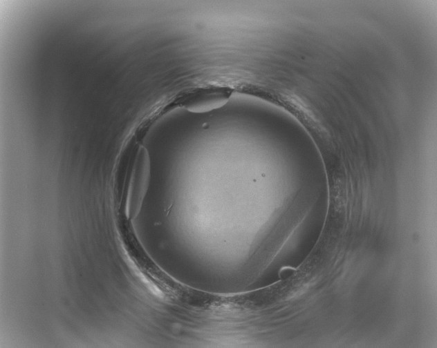 X0000068820634200605081146