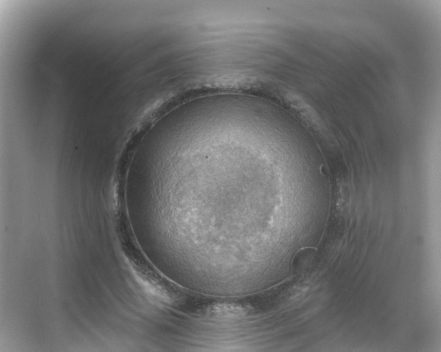 X0000068820636200605081146