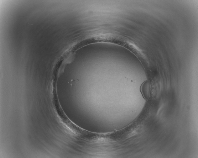 X0000068820637200605081146