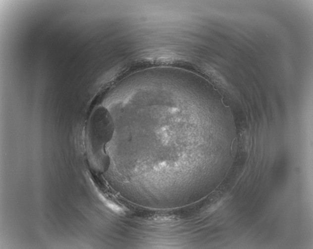 X0000068820638200605081146