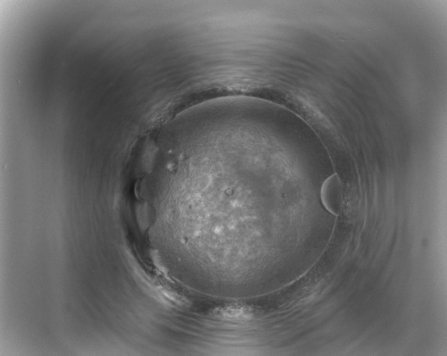 X0000068820639200605081146