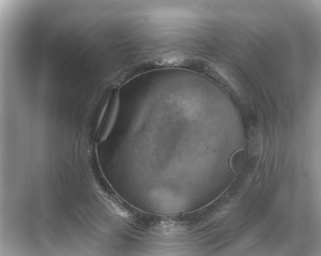 X0000068820641200605081146