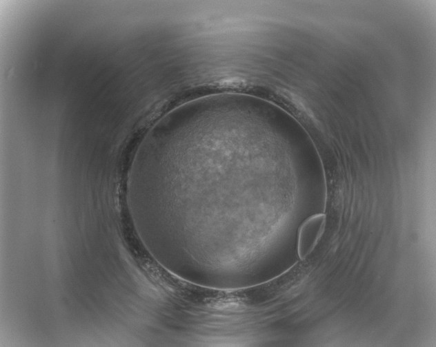 X0000068820643200605081146