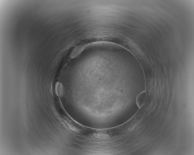 X0000068820644200605081146