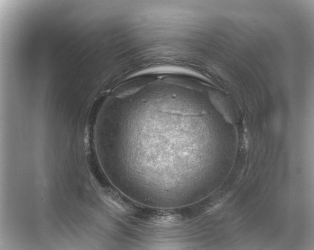 X0000068820646200605081146