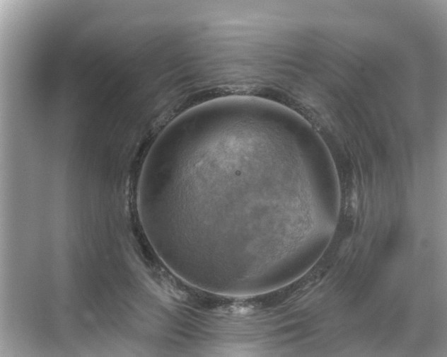 X0000068820647200605081146