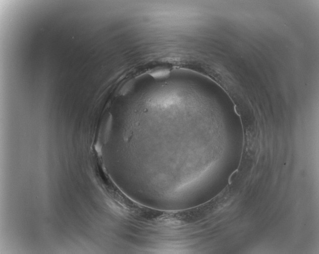 X0000068820648200605081146