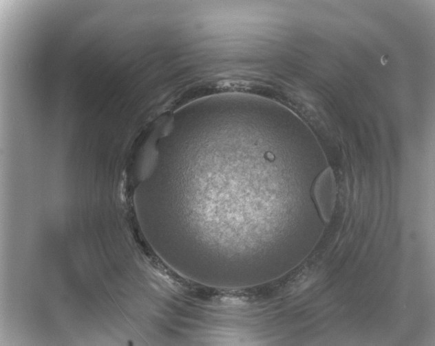 X0000068820649200605081146