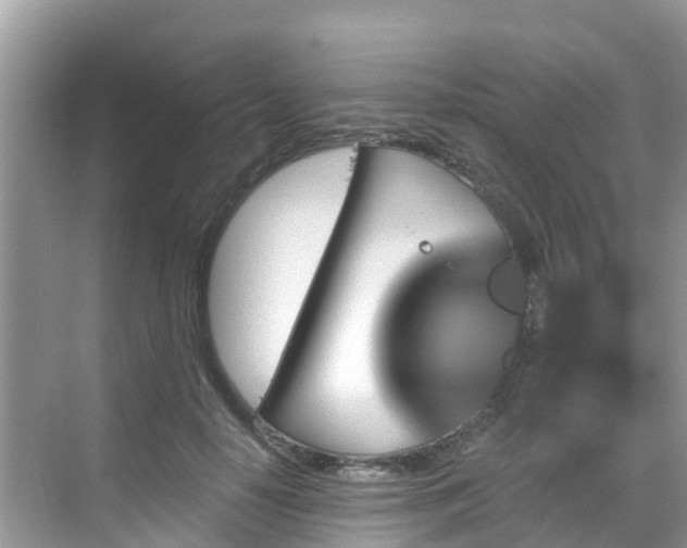 X0000068820650200605081146